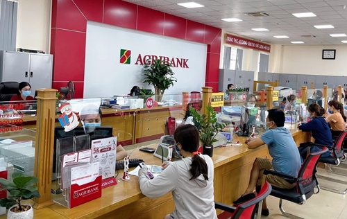 Agribank tăng tín dụng, giảm lãi suất hỗ trợ doanh nghiệp nông sản vùng Đồng bằng sông Cửu Long